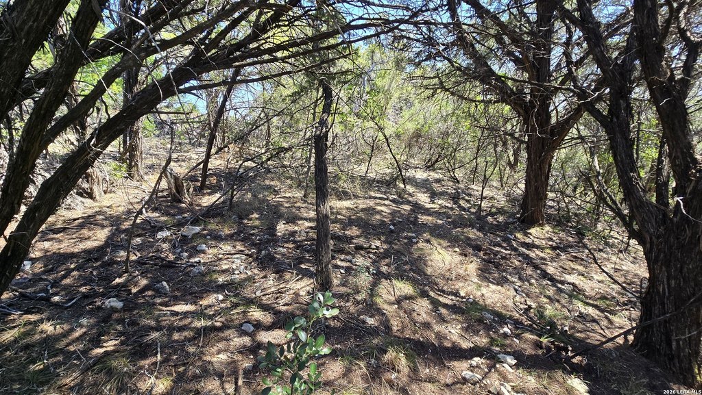 Picture 17