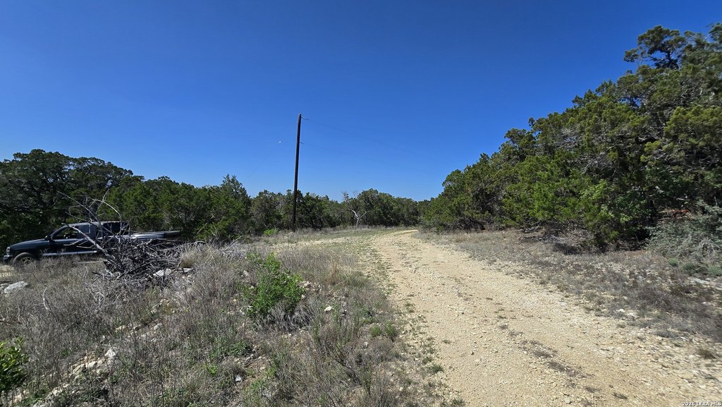 Picture 14