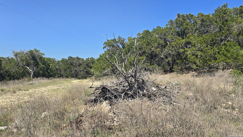 Picture 11