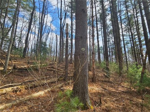 LAND - Todd, NC