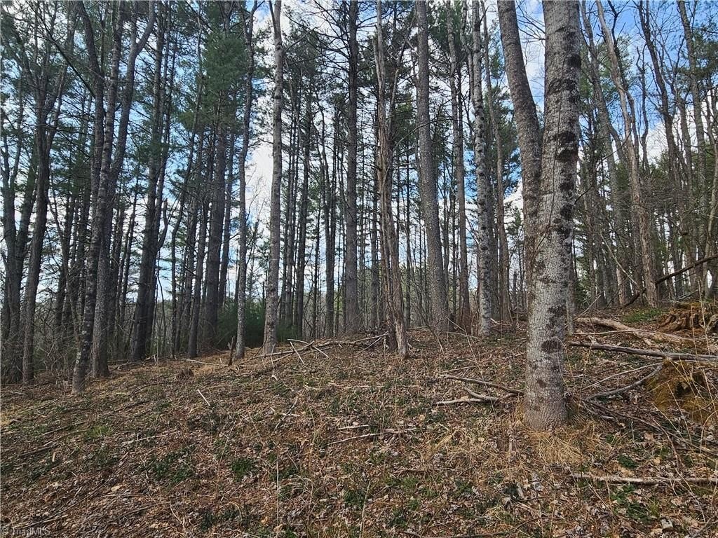 Picture 17