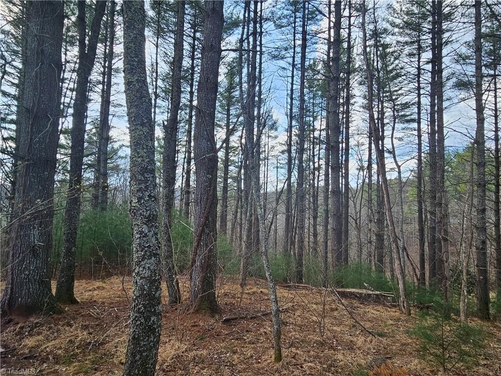 Picture 8
