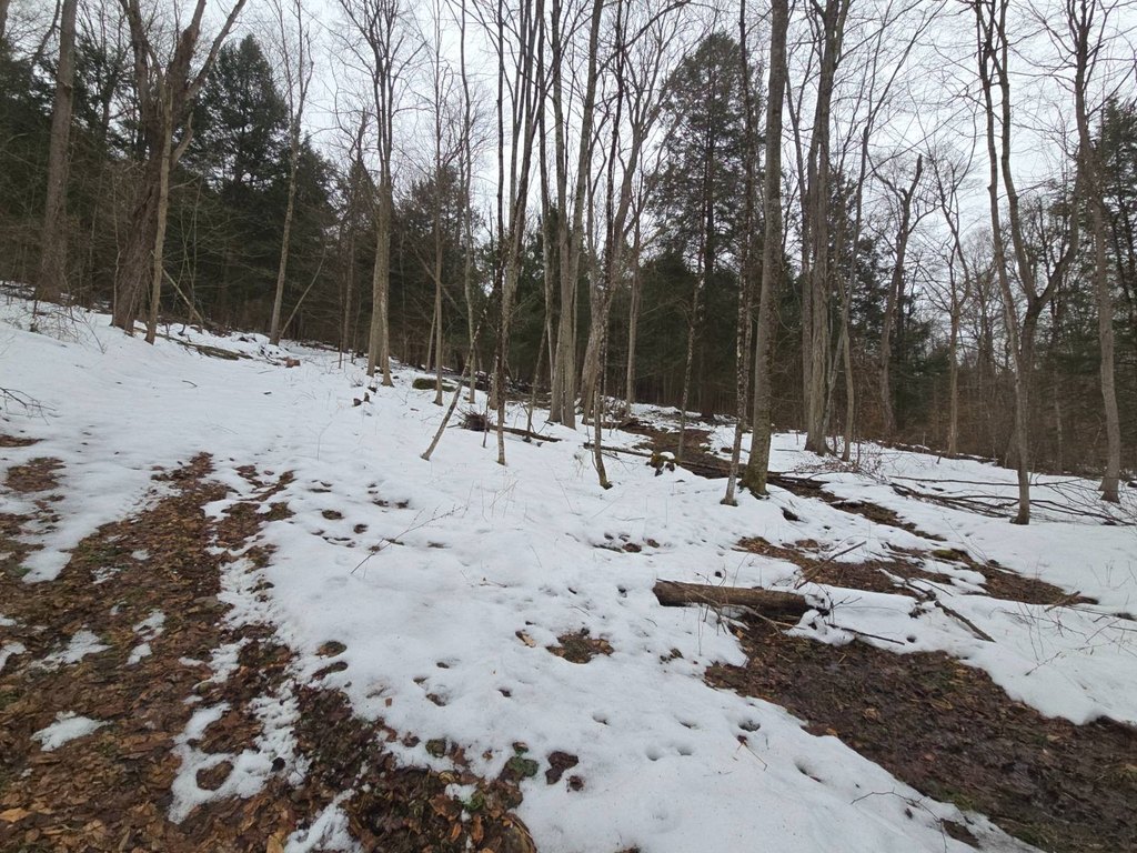 Picture 31