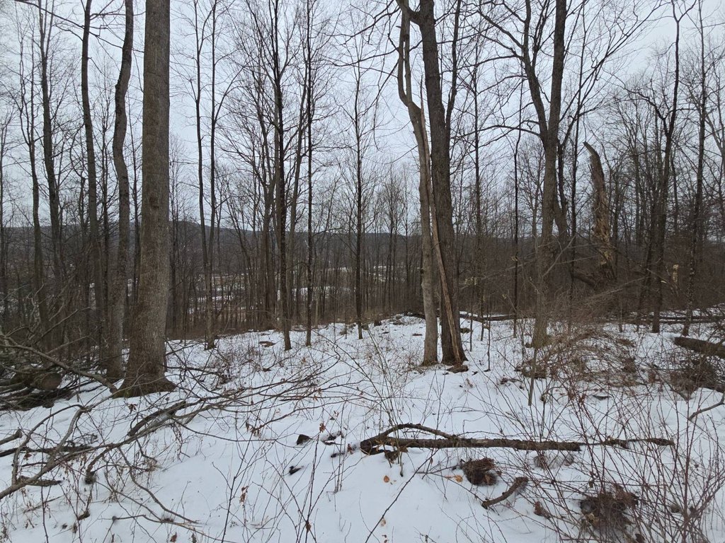 Picture 19