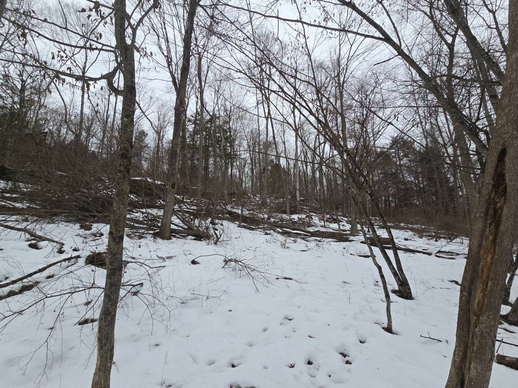 Picture 28