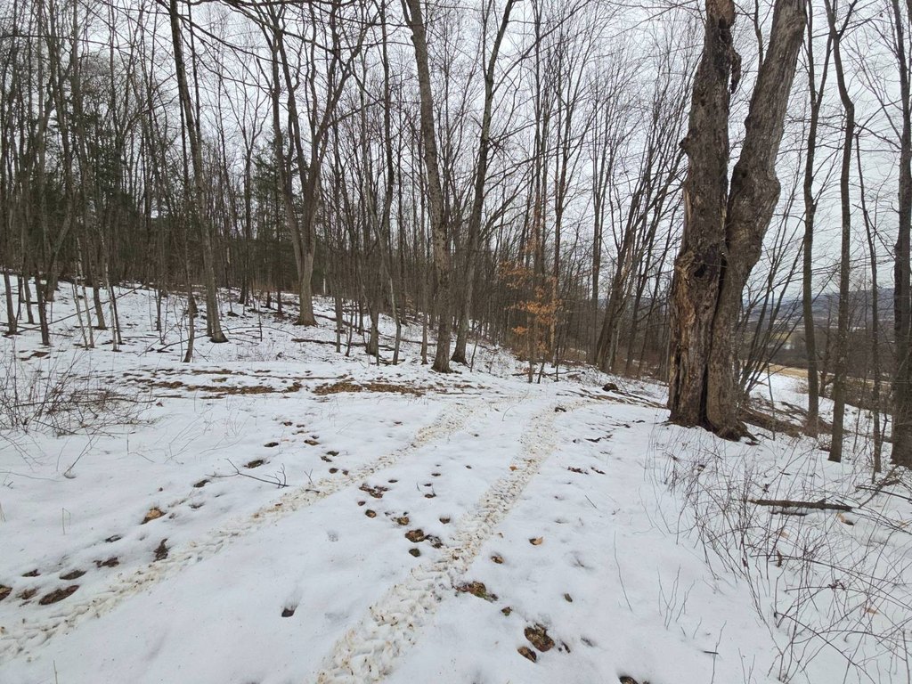 Picture 18
