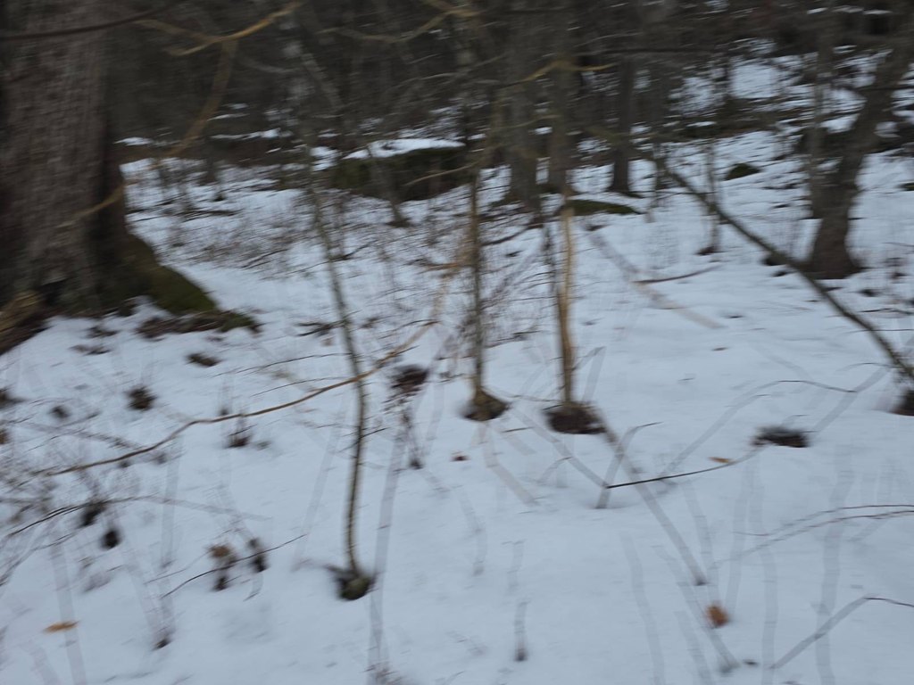 Picture 24