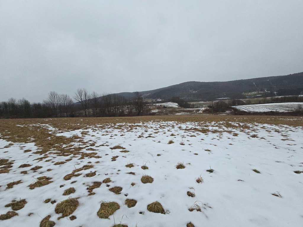 Picture 37