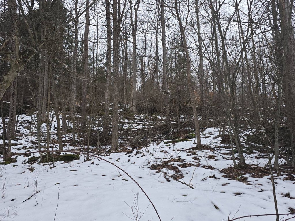 Picture 25