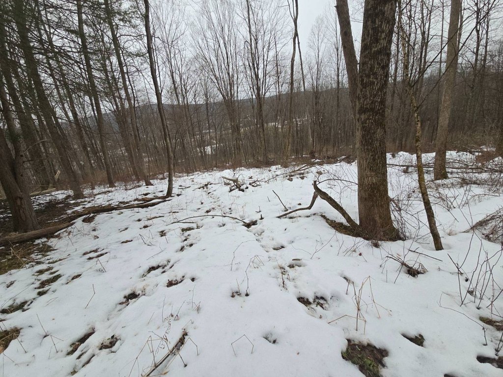 Picture 22