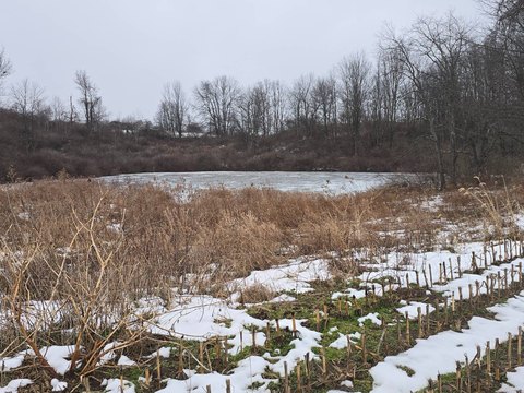 Off-Grid Recreational Land with Pond