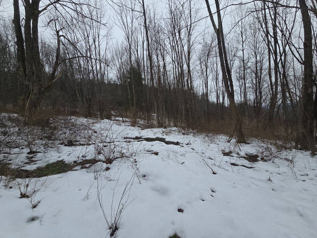 Picture 13