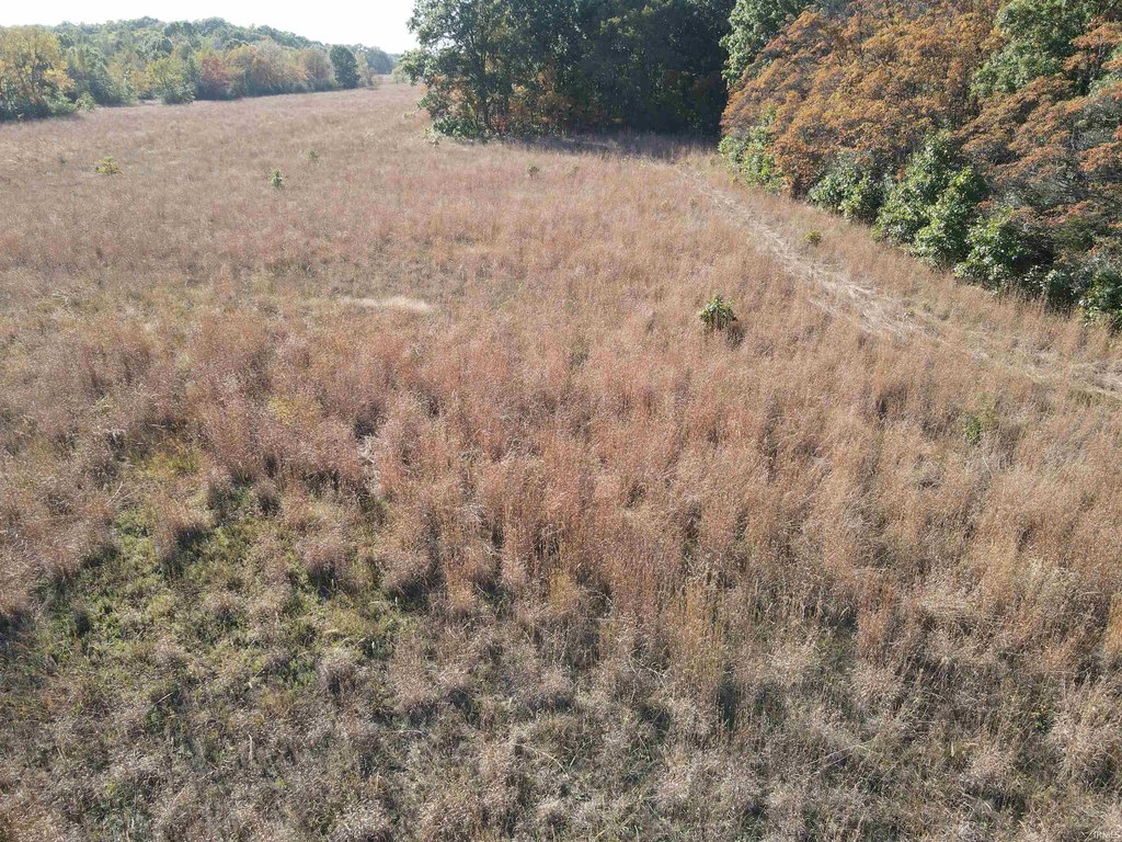 Picture 12
