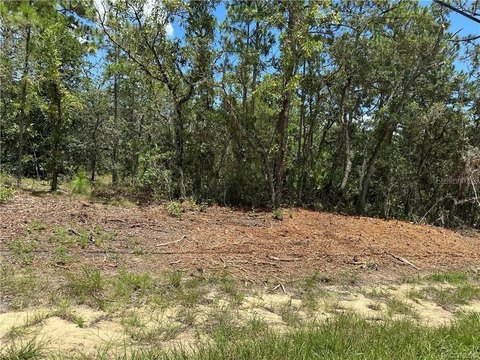 Land, CITRUS SPRINGS, FL