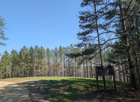 Land, Guild, TN
