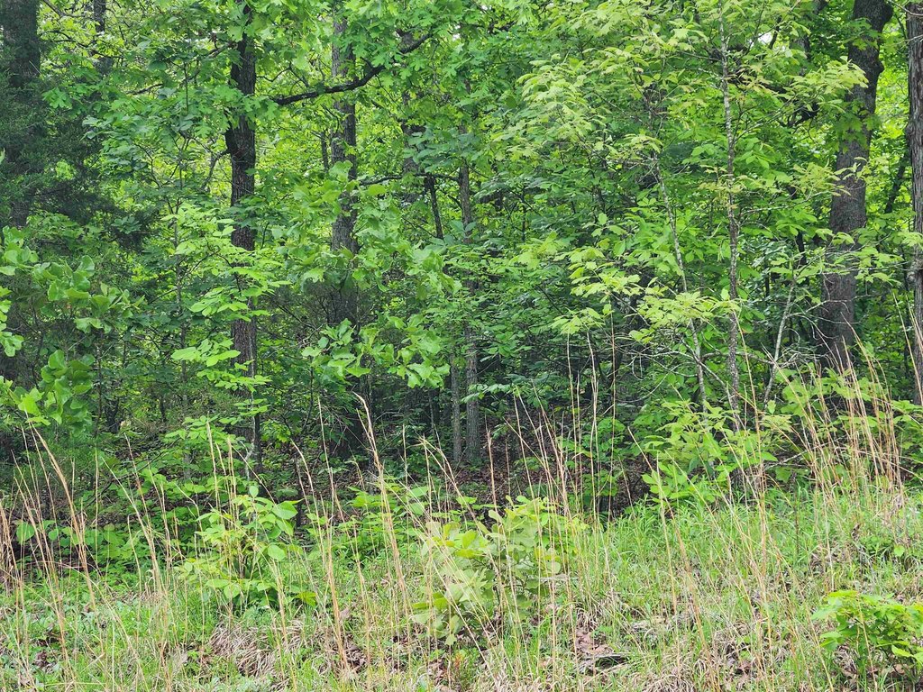 Picture 18