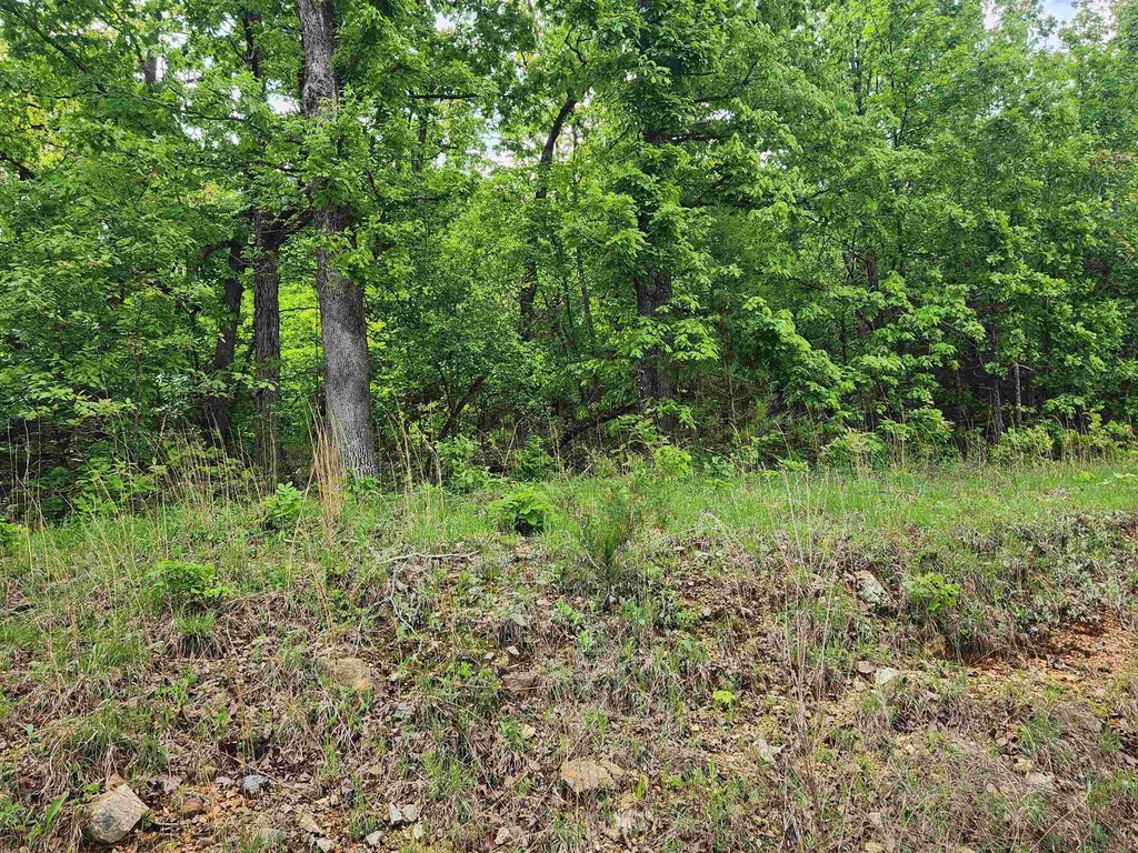 Picture 16