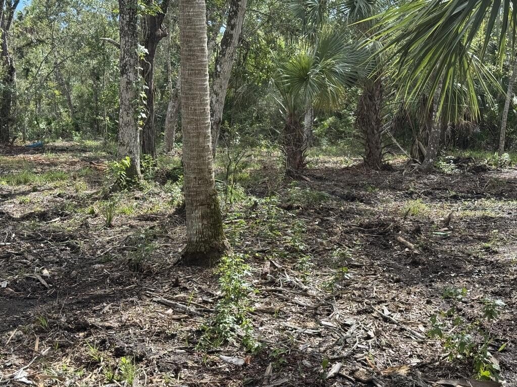 Picture 8