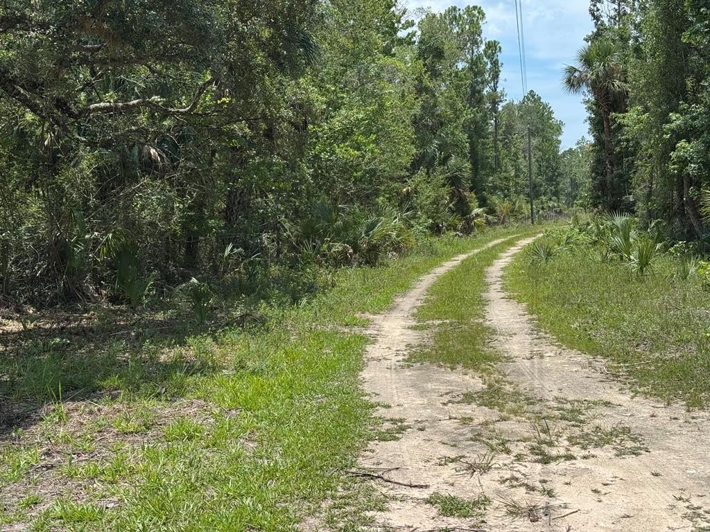 Picture 5