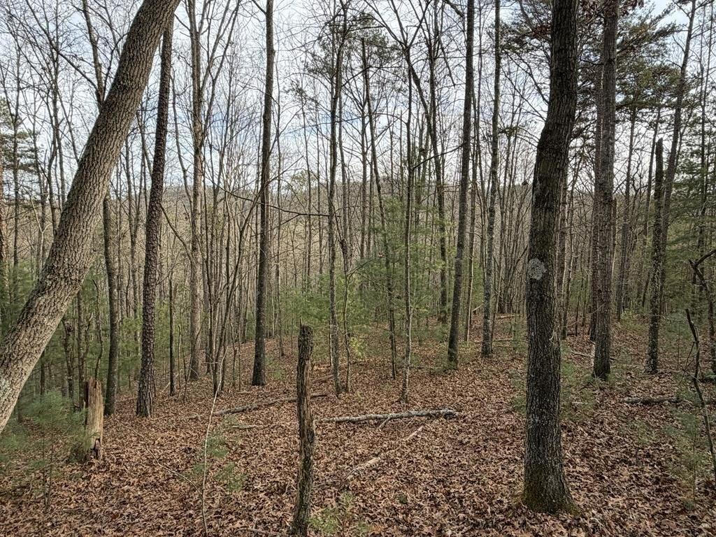 83.9 Acres of Mountain Land