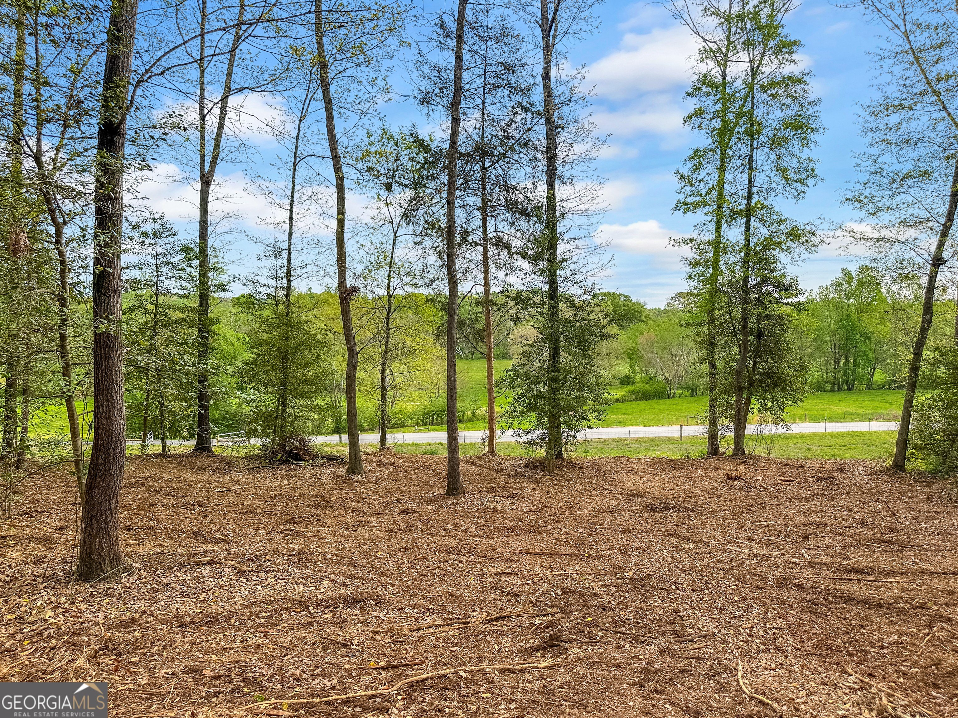 Eastanollee Land Ideal Estate Homesite