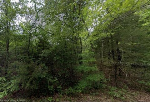 Land, Horsehoe Bend, AR