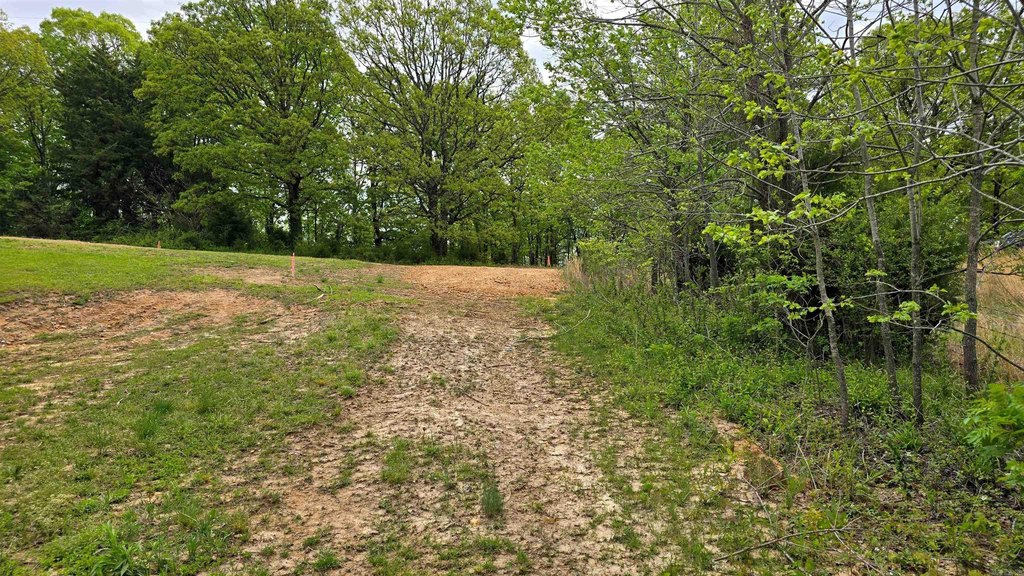 Picture 16