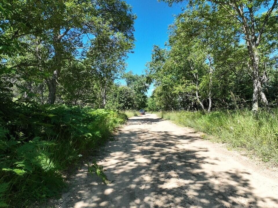 Secluded 10-Acre Hunting Land
