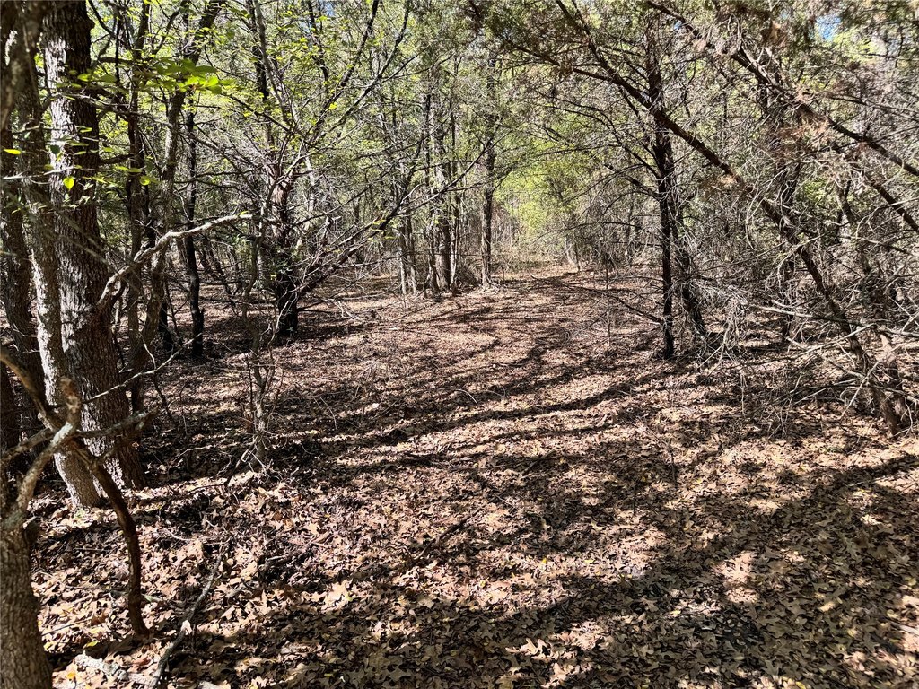 Picture 19