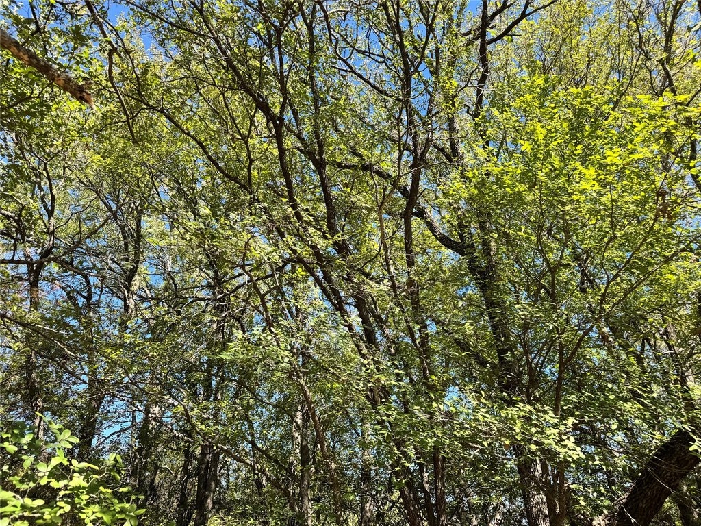 Picture 23