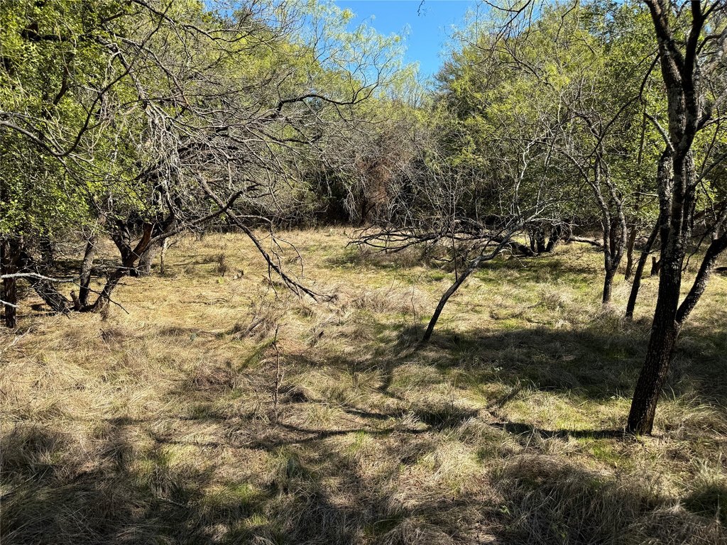 Picture 25