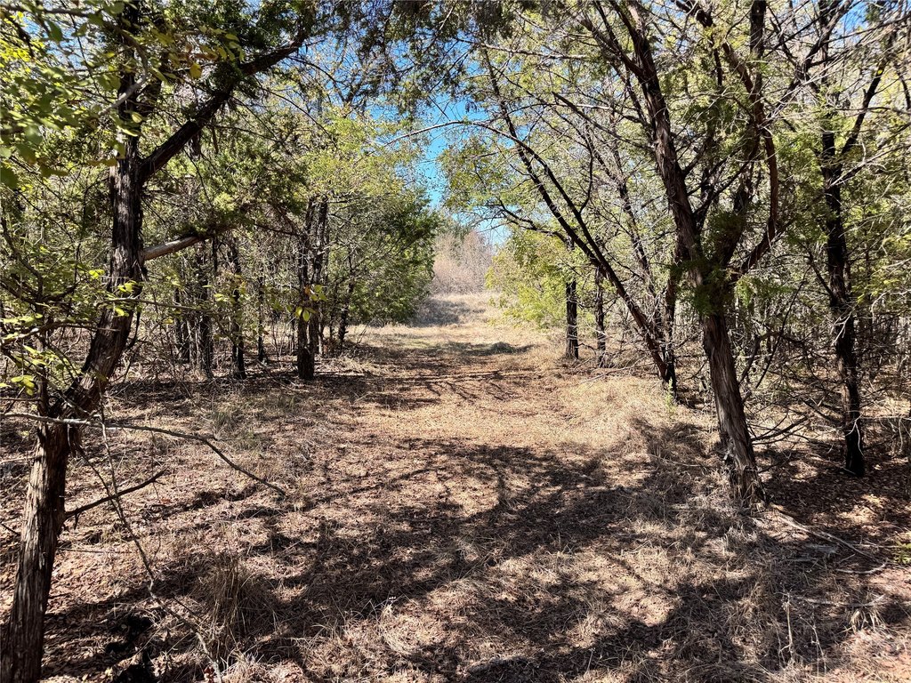 Picture 29