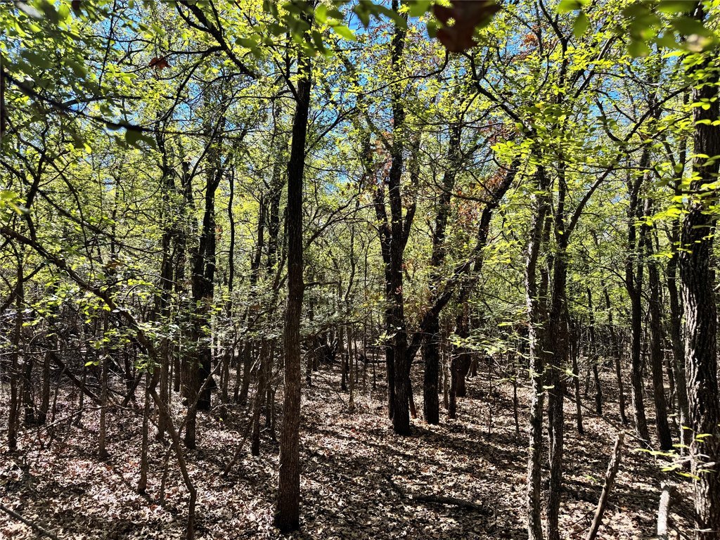 Picture 15