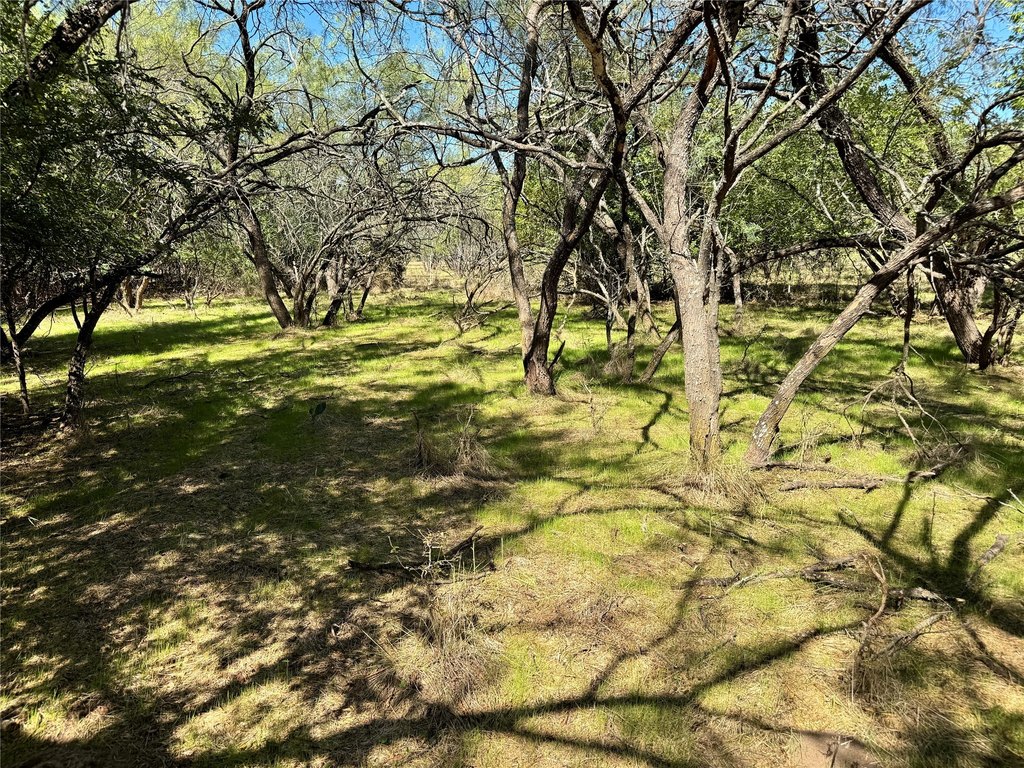 Picture 20