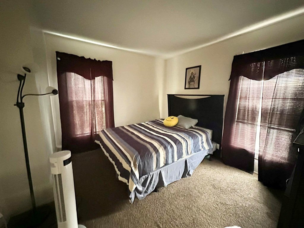 Picture 19