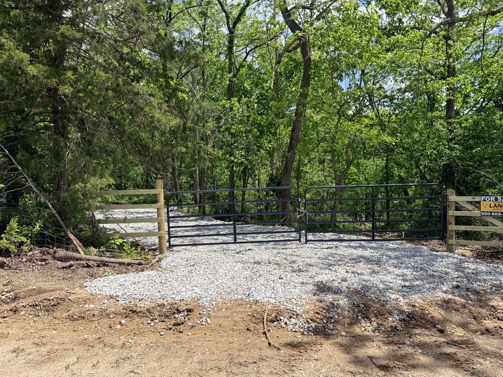 Picture 5