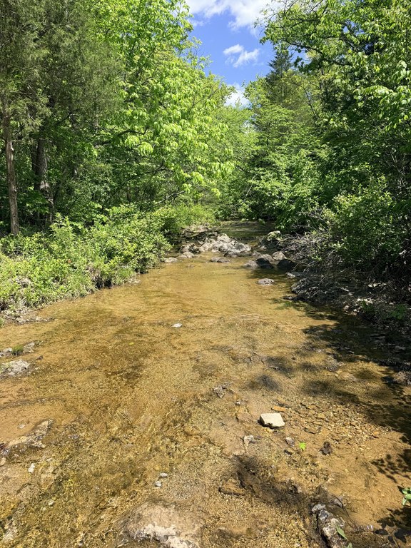 Picture 19