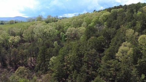 Land in Black Diamond Subdivision