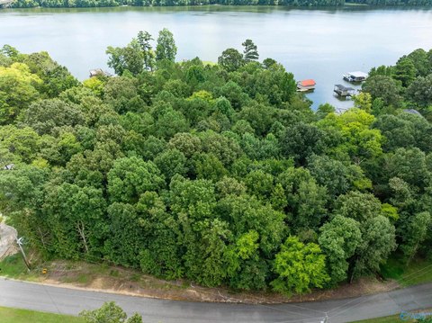 LAND - Rogersville, AL