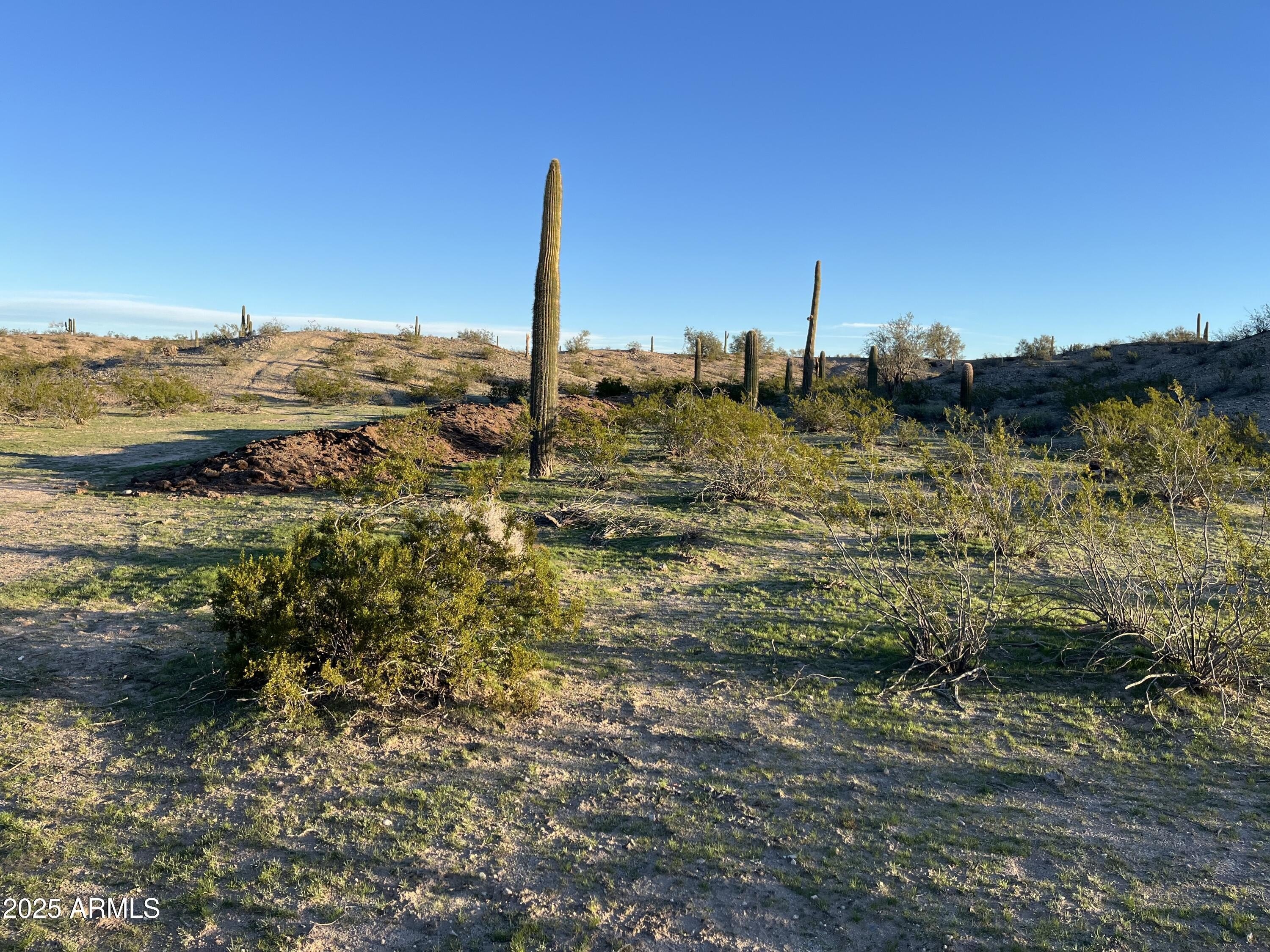 Land with Hassayampa River Views