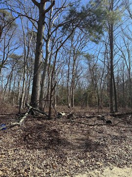 Buildable Lot in Millville, NJ