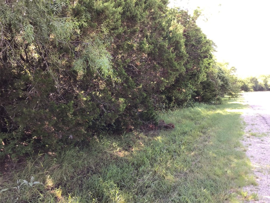 Picture 3