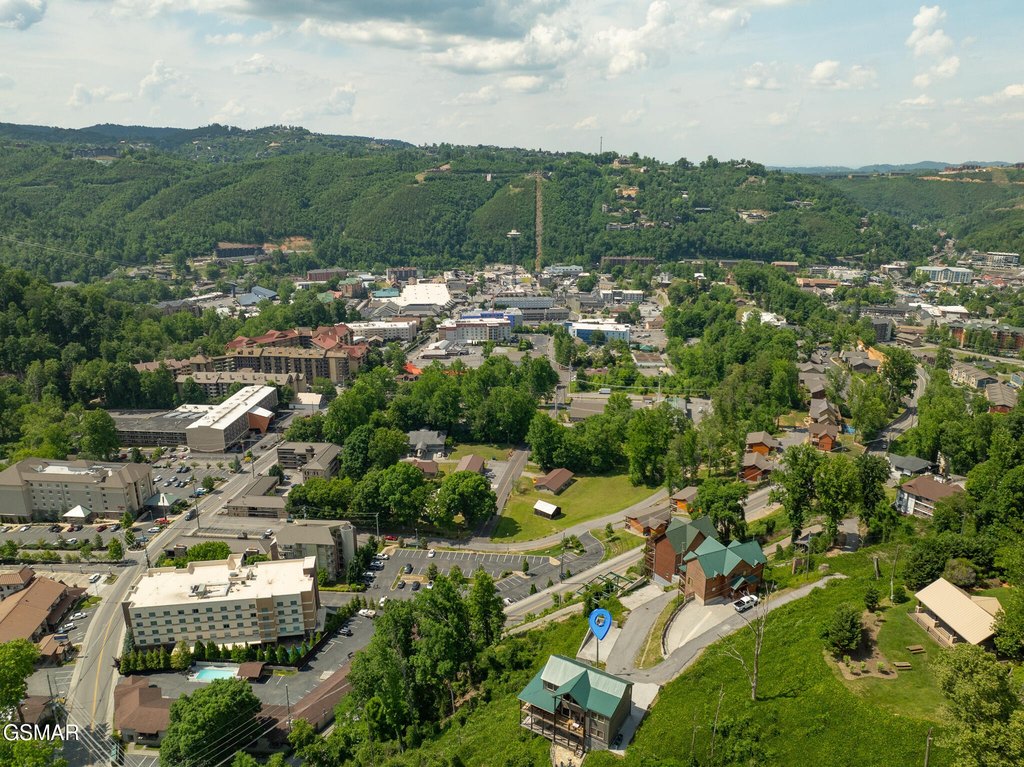 Picture 12