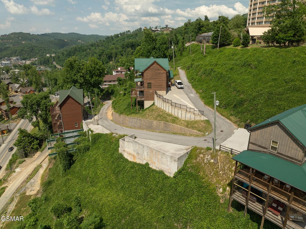 Picture 5