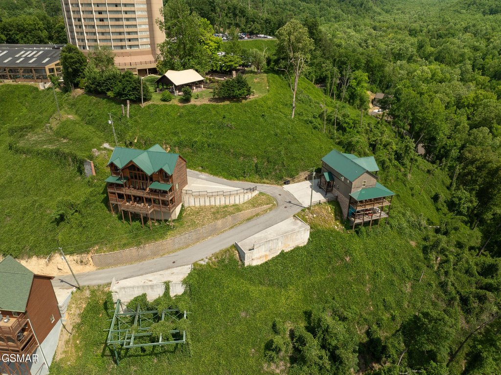 Picture 17