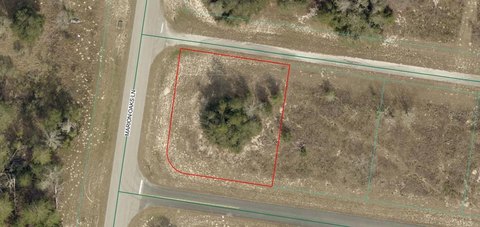 Mostly Cleared Commercial Land