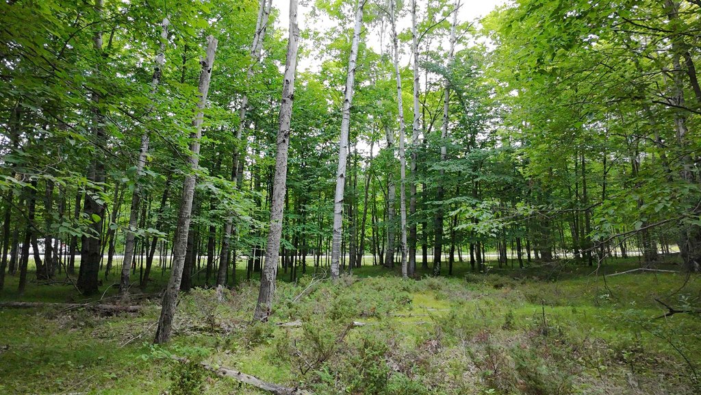 Picture 10
