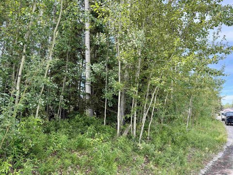 LAND - Fairbanks, AK