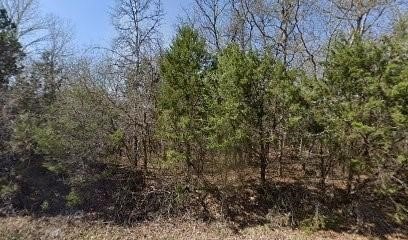 LAND - Granbury, TX