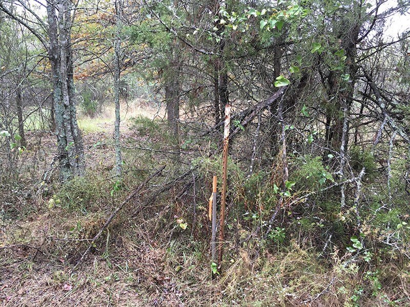 Picture 13